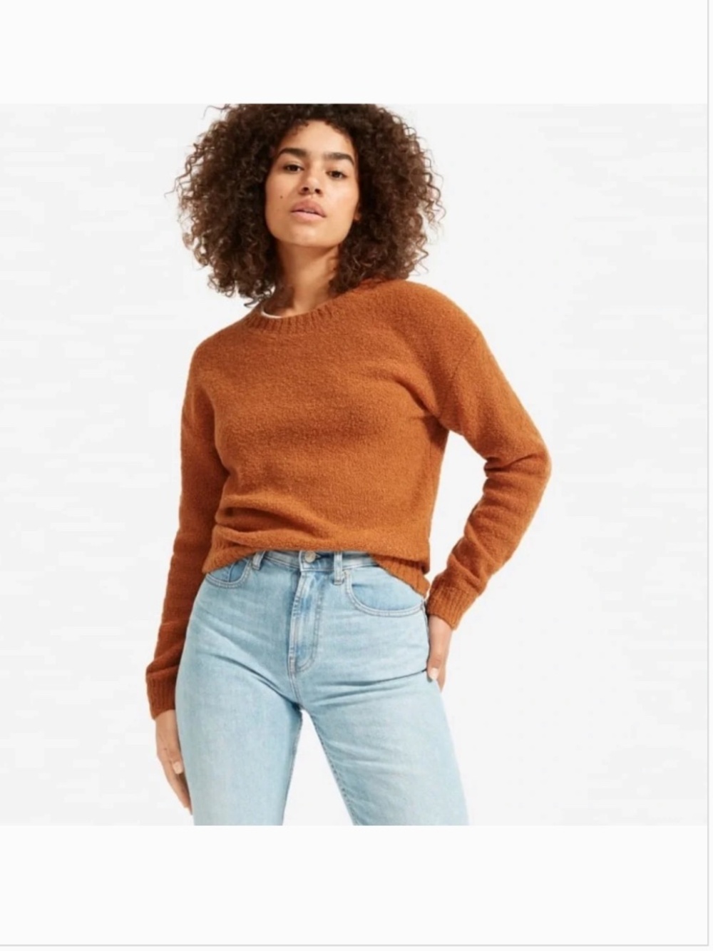 Everlane Teddy Crew Neck‎ Sweater Small Rust Brown Wool Blend Cropped